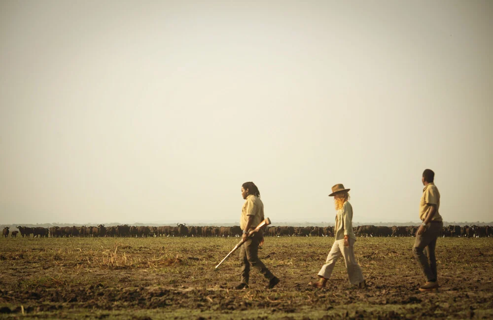 Three guests on a walking safari