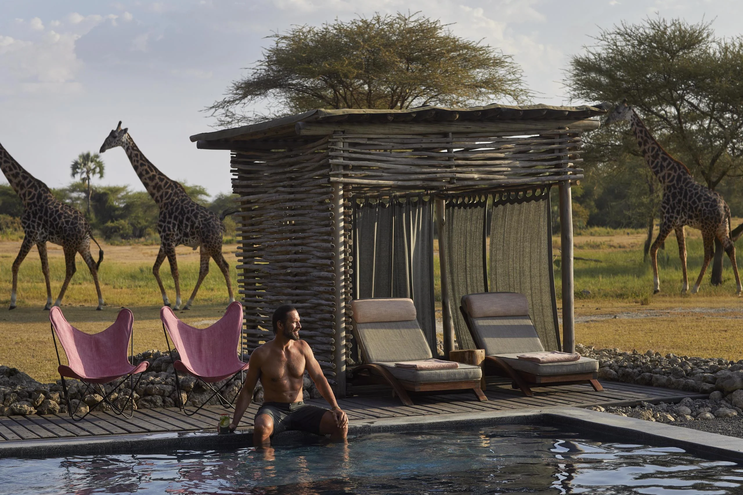 A guest at the pool with giraffe beyond