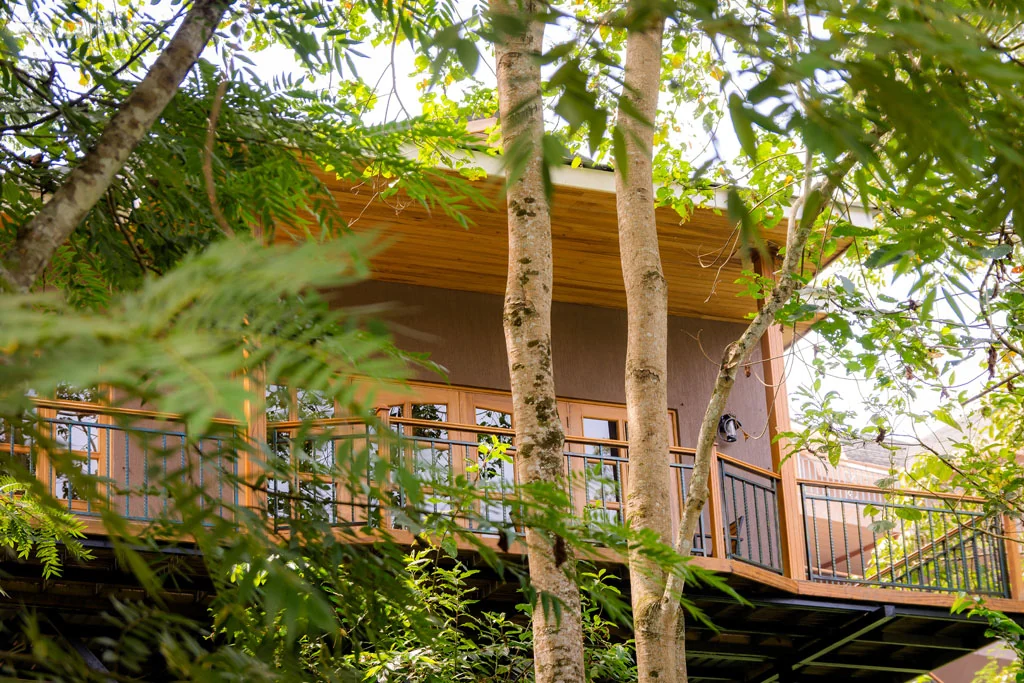 A cottage among the trees