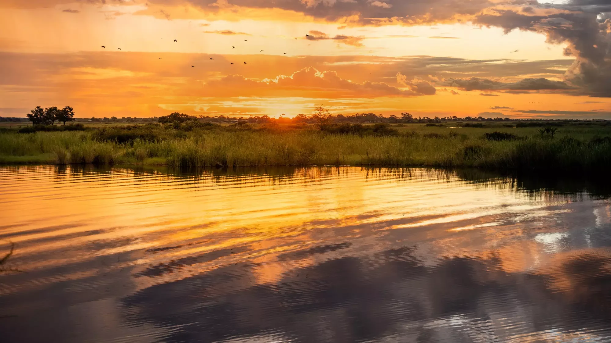 Sunset over the Nile wetlands