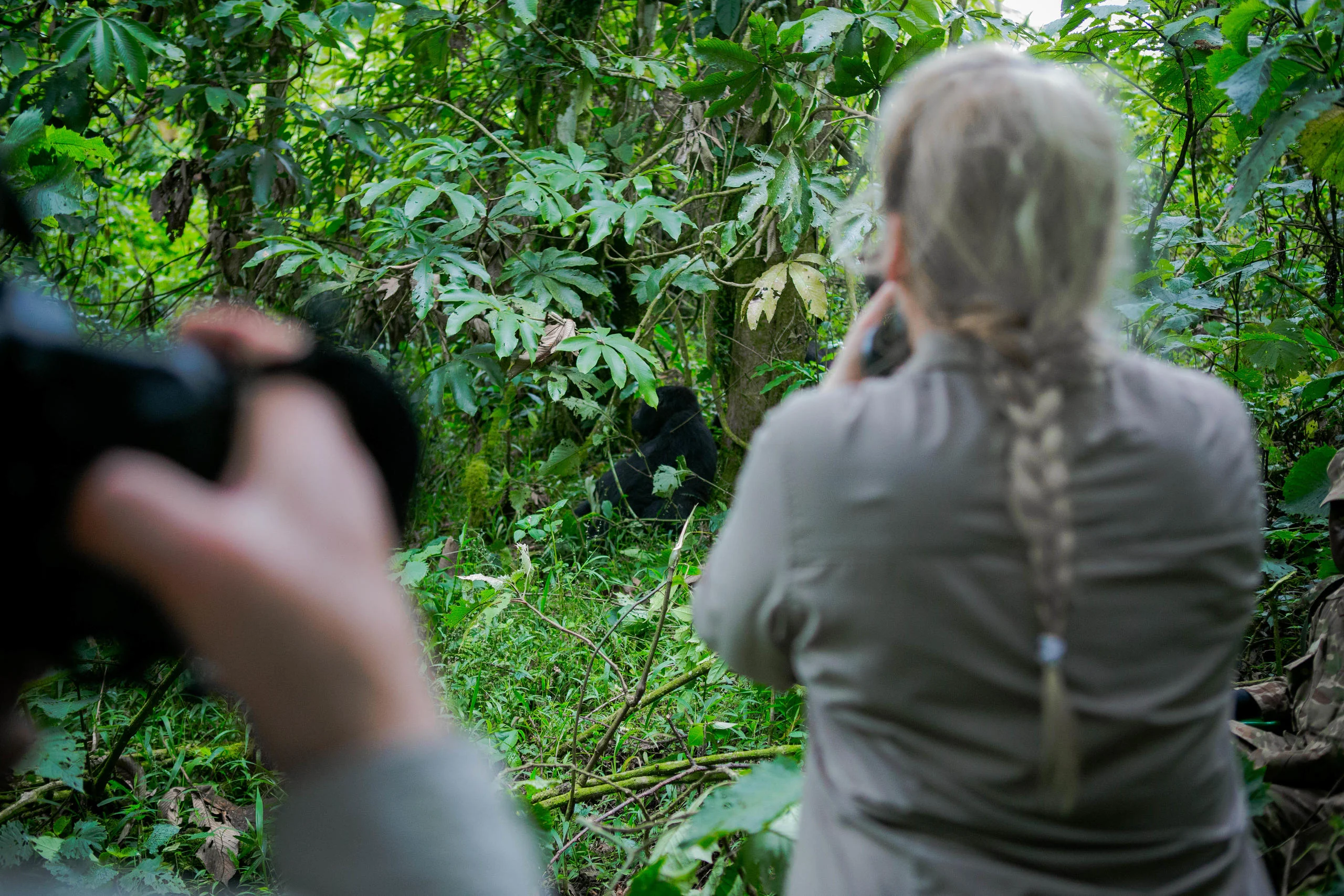 A guest photographing in the forest