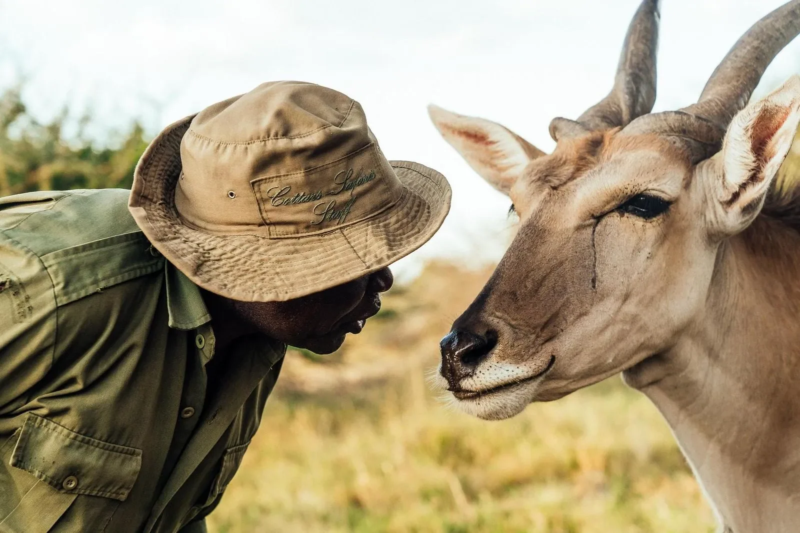A guide face to face with an eland