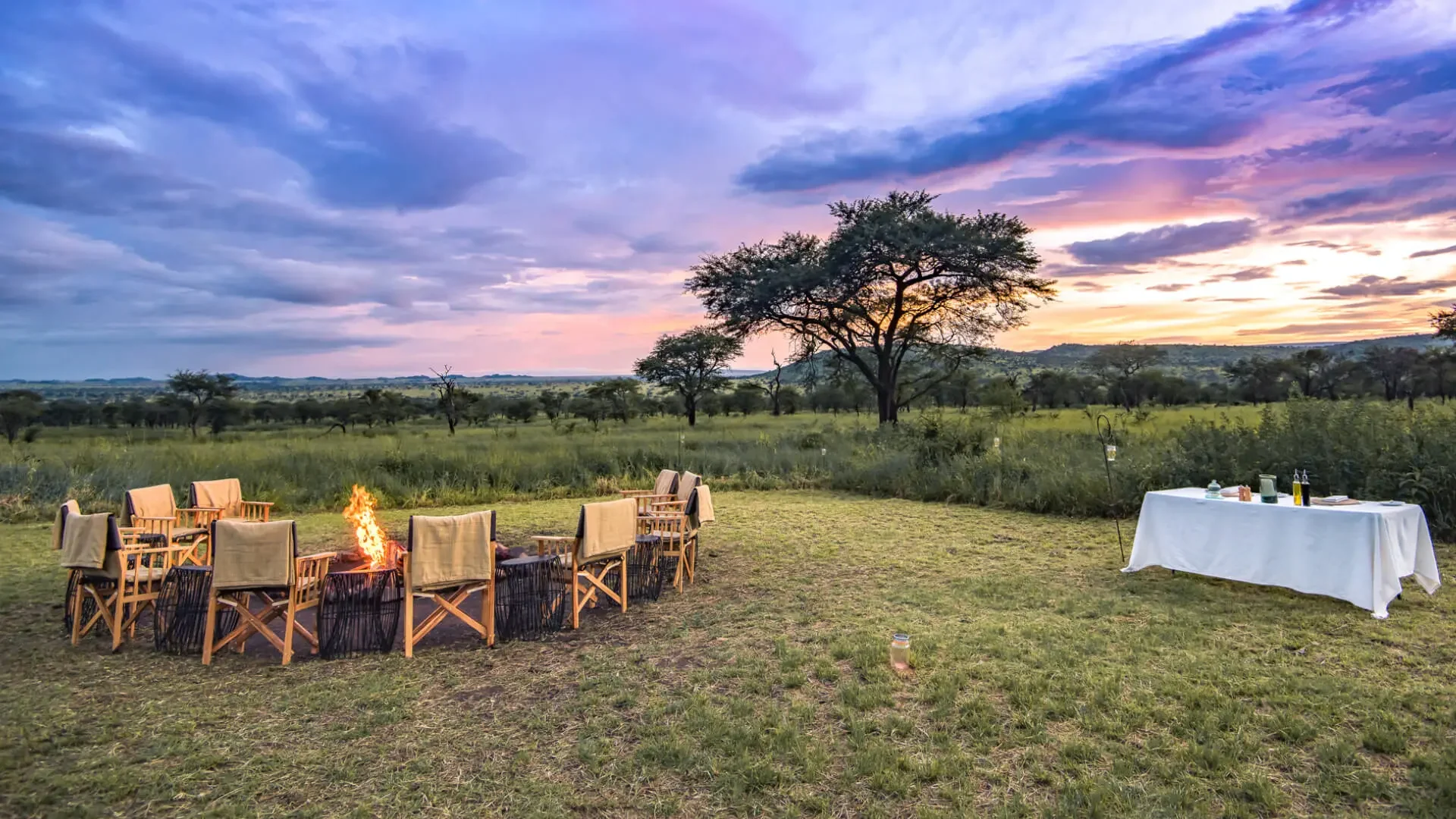 Chairs and a table set out under a tree at sunset