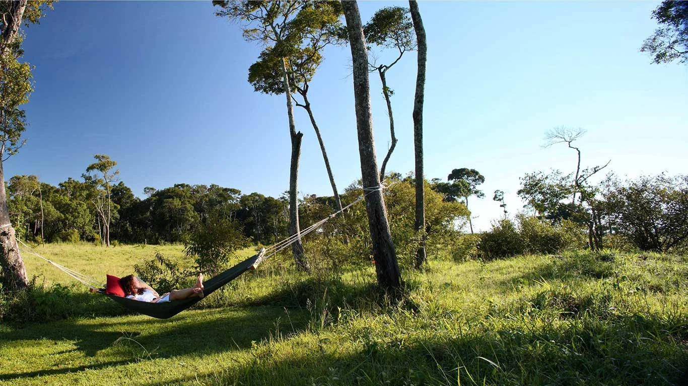 A guest in a hammock under the trees