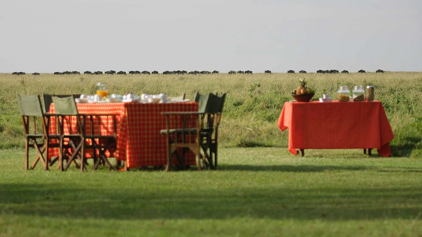 Breakfast laid on the grass