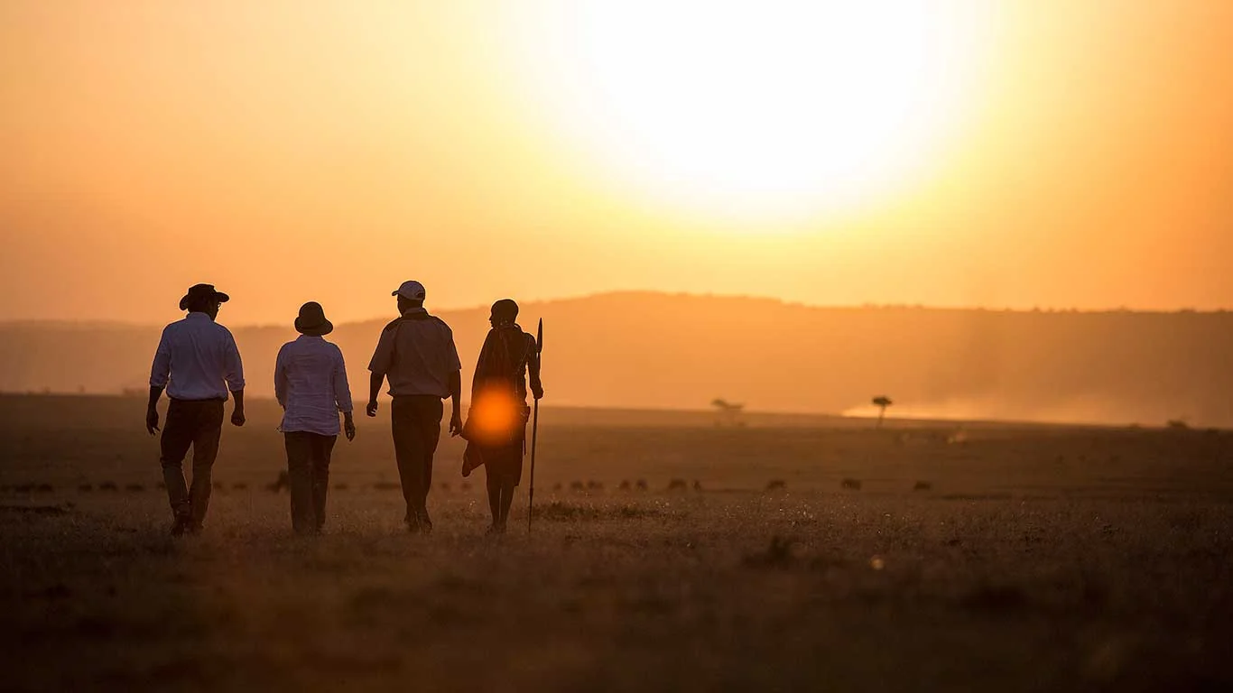 Four walkers on the plains at sunset