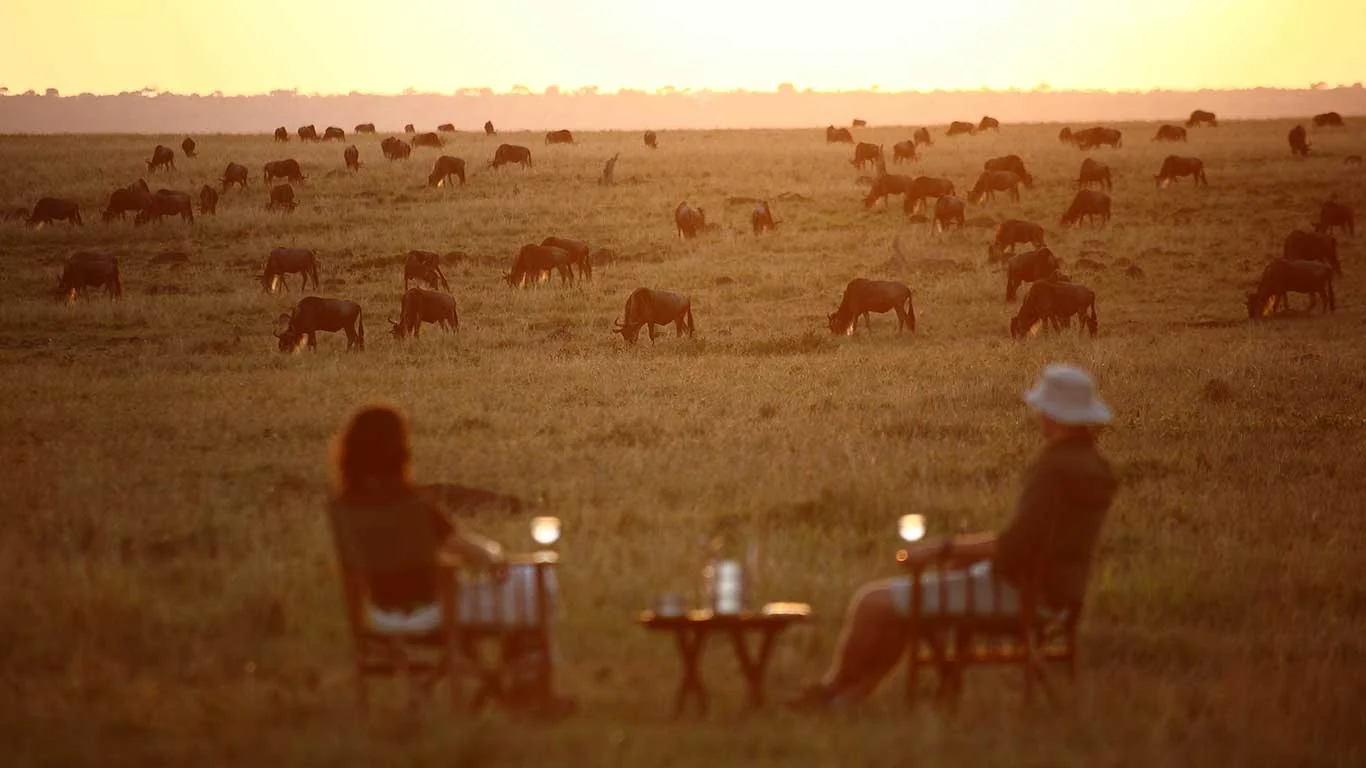 Two guests at sundowners with wildebeest beyond