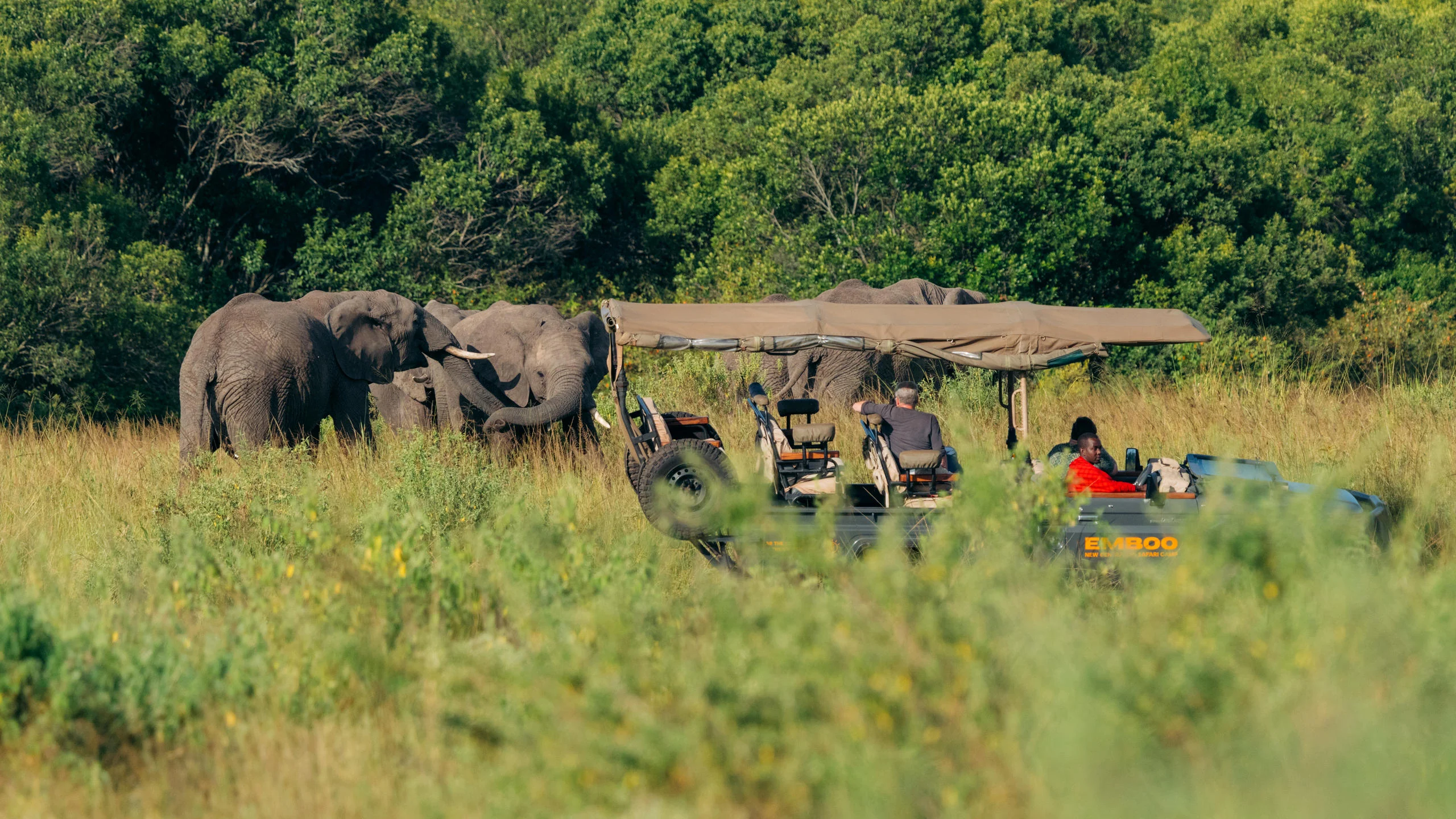 An electric safari vehicle watching elephant