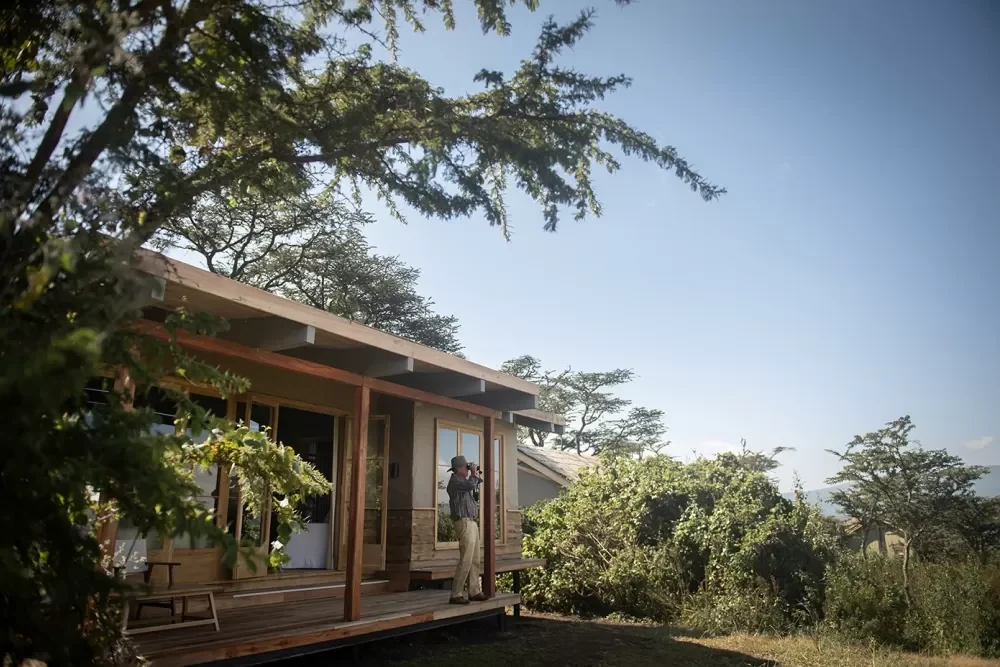 A guest room among the trees