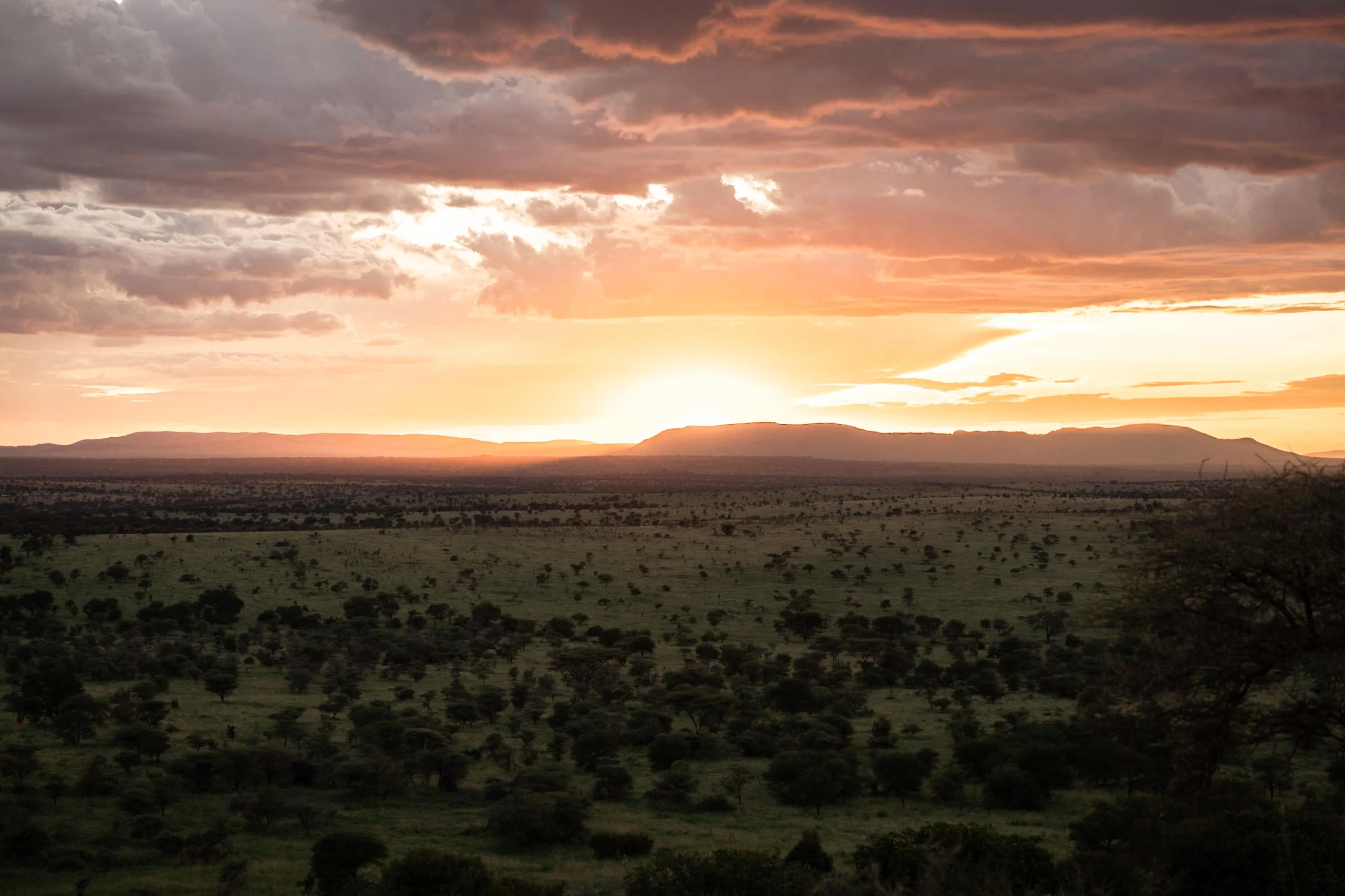 Sunset over the plains