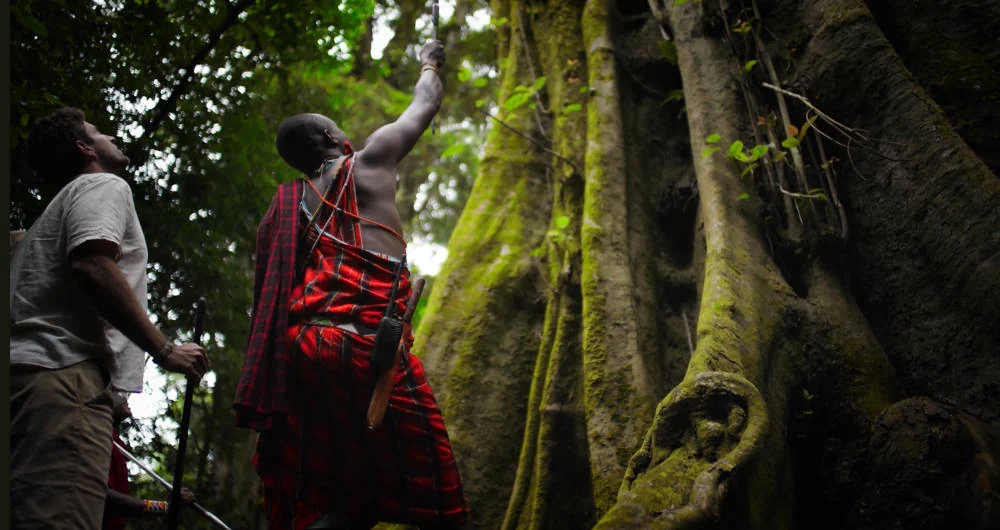 A guide and a guest in the cloud forest