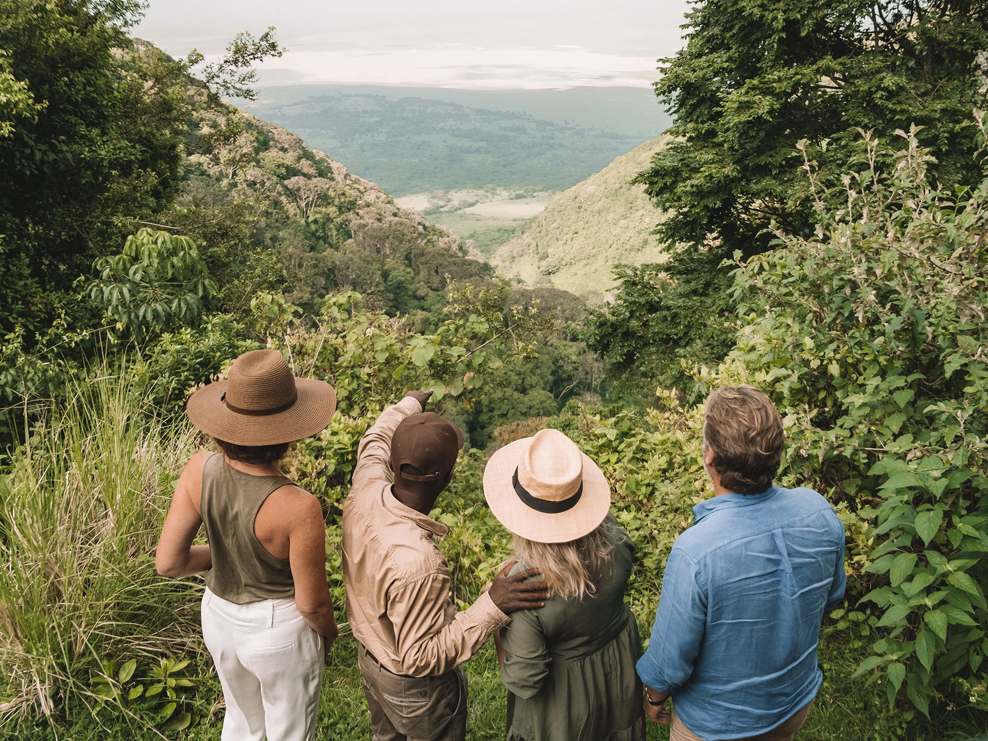 Guests looking out over the forested valley