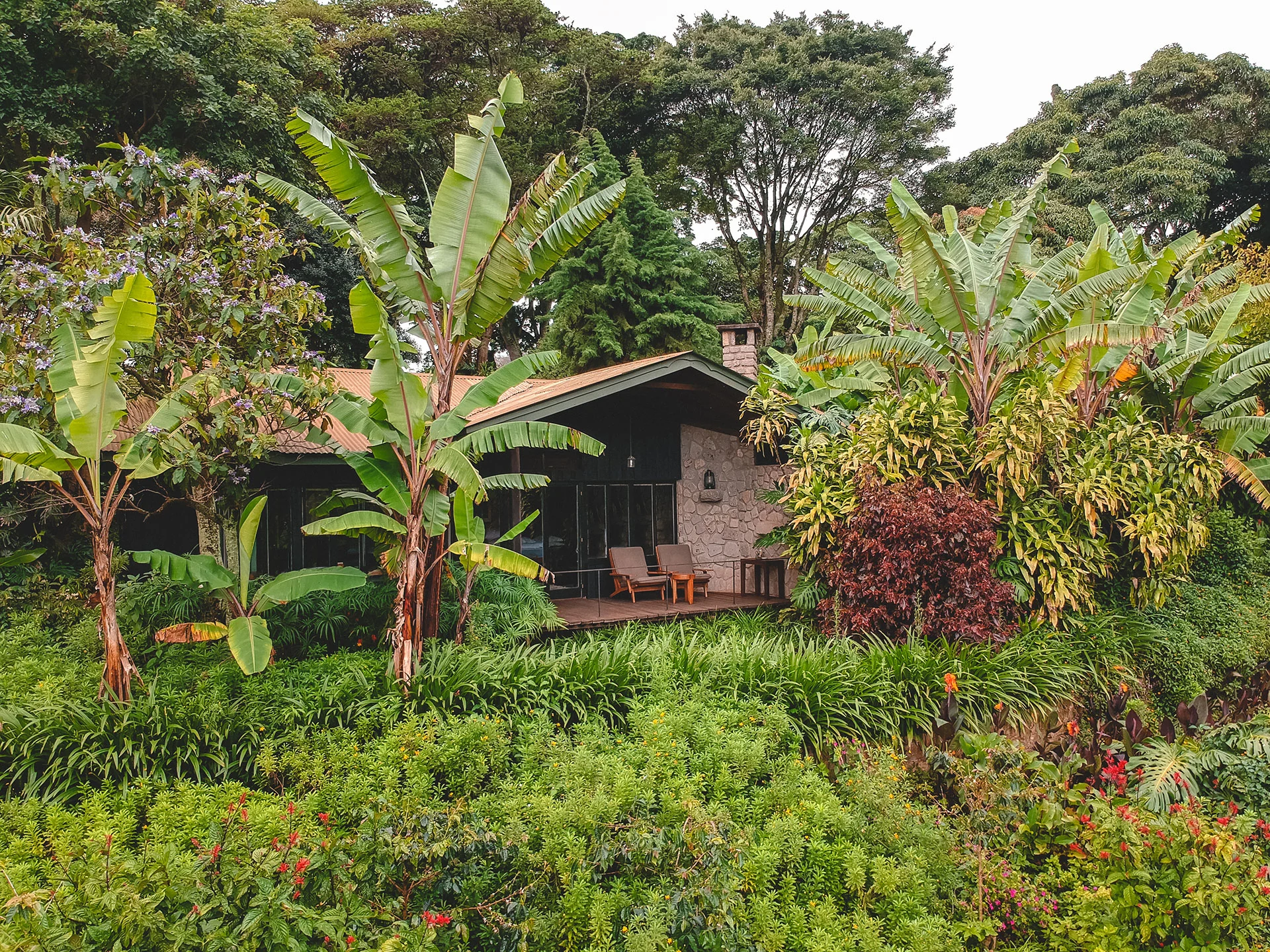 A cottage among banana plants and flowering shrubs