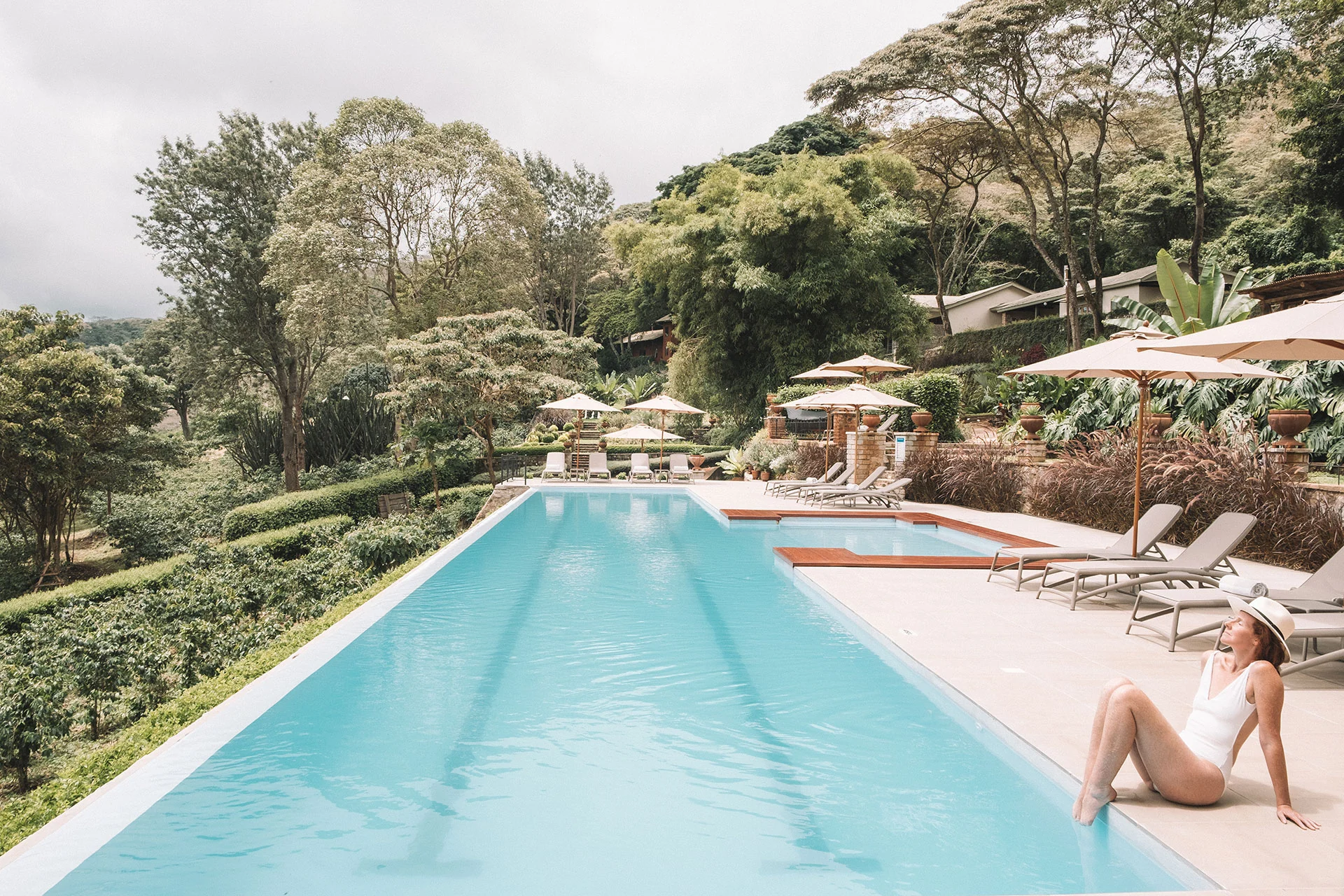 The pool with loungers under the trees