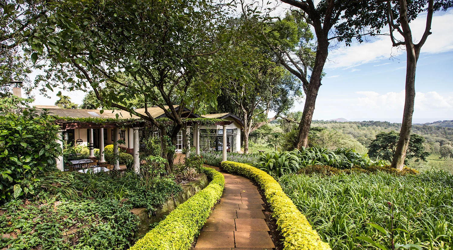A path through the garden to a cottage