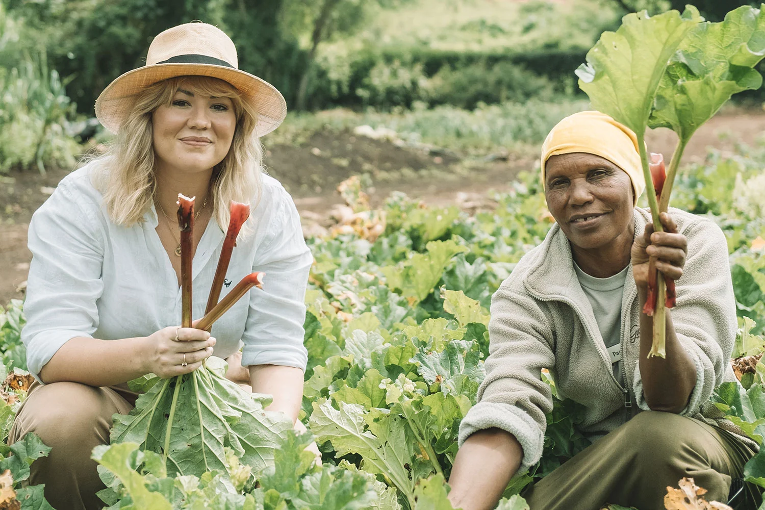 A guest and a gardener with freshly picked rhubarb in the vegetable garden