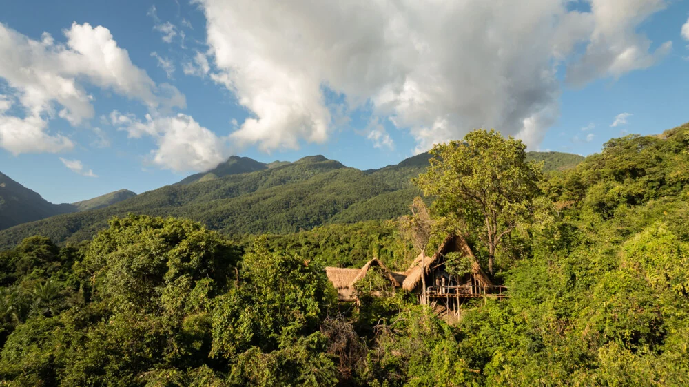 The bandas on the forested slope