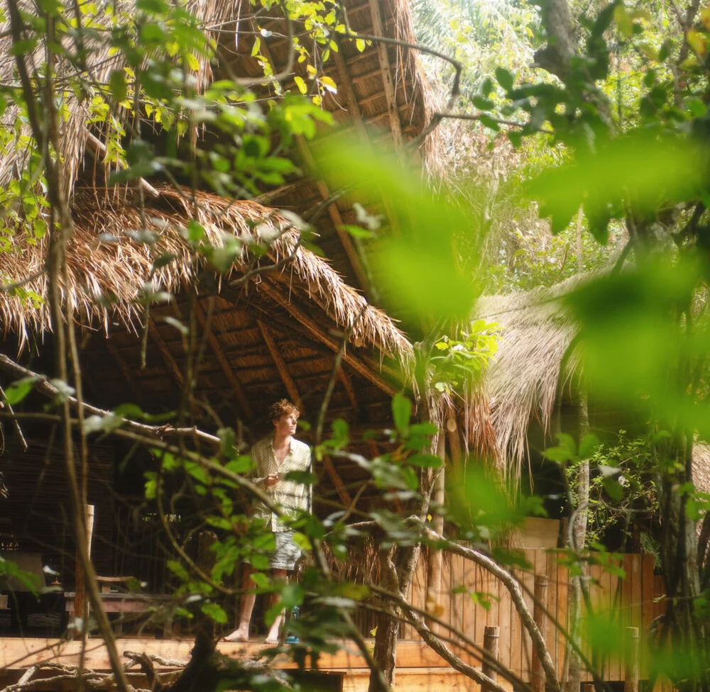 A guest seen through the forest leaves