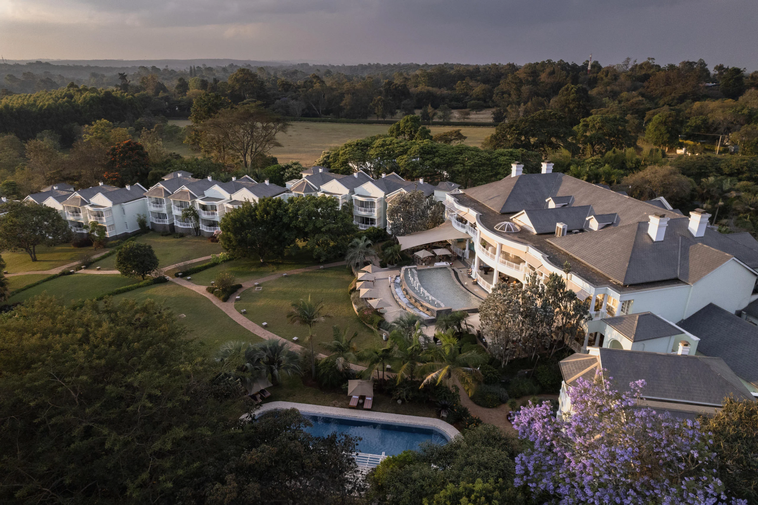 The hotel and its gardens among the trees, from the air