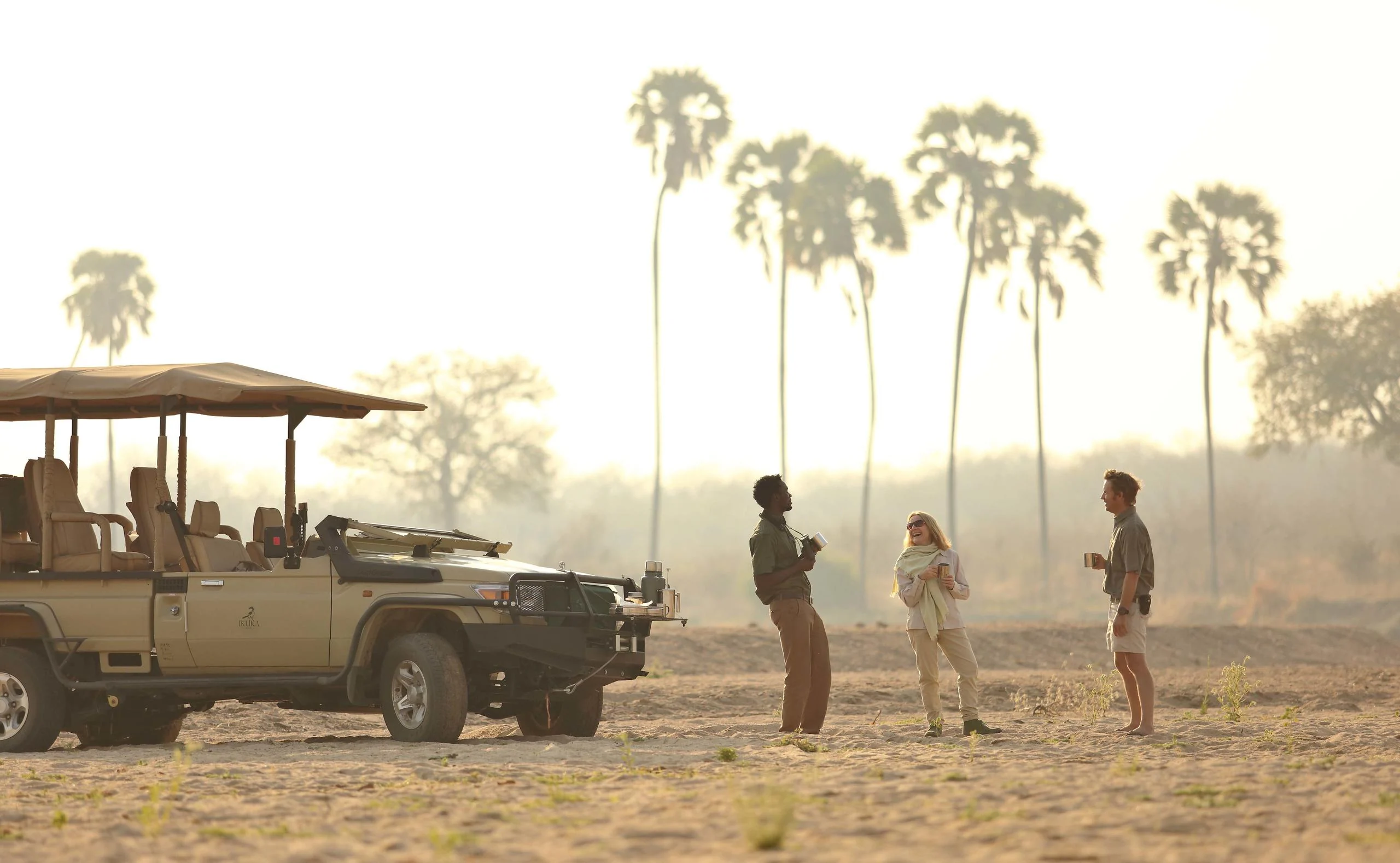 Guests beside a safari vehicle among palms at first light