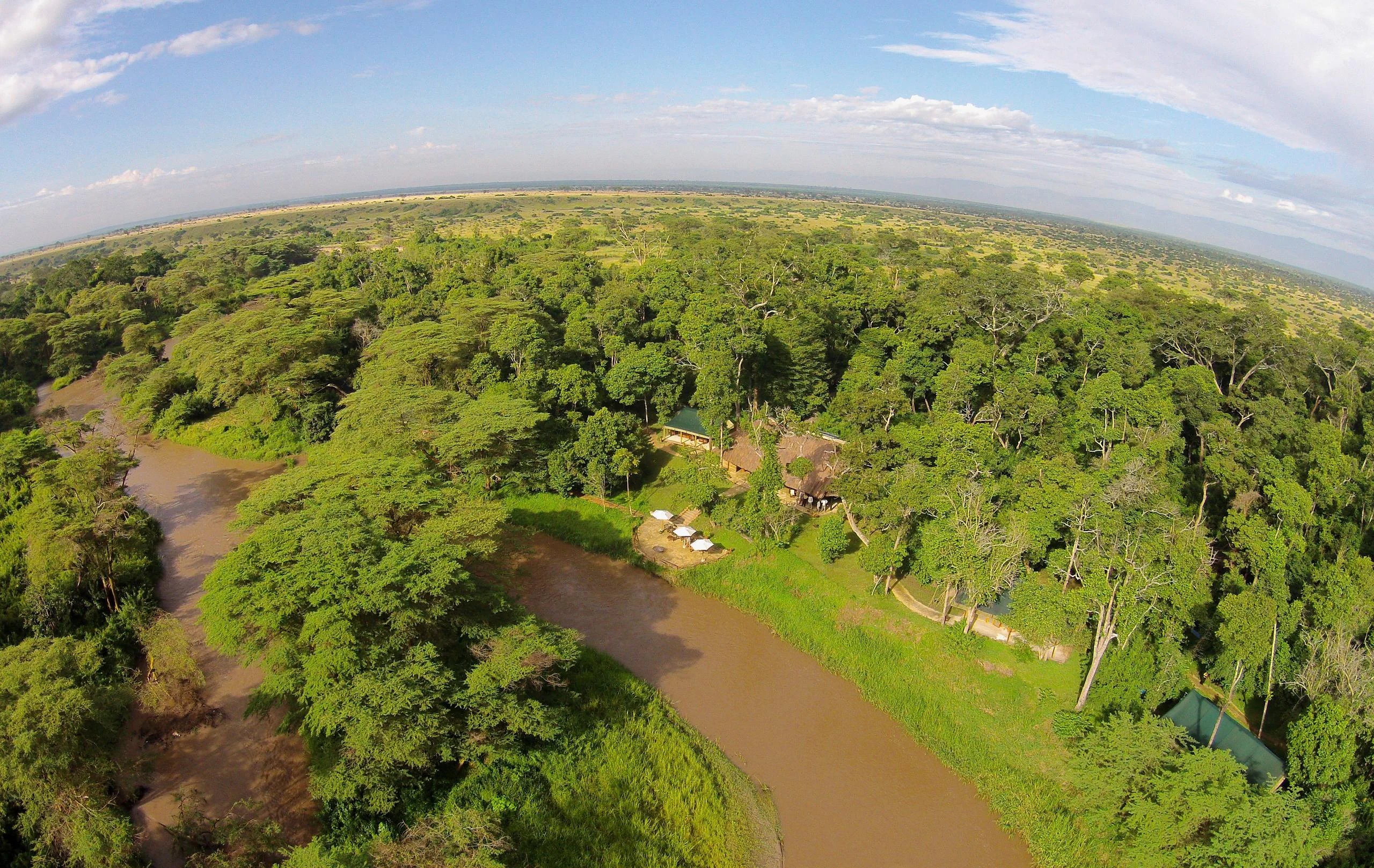 The river winding through the woodland, from the air