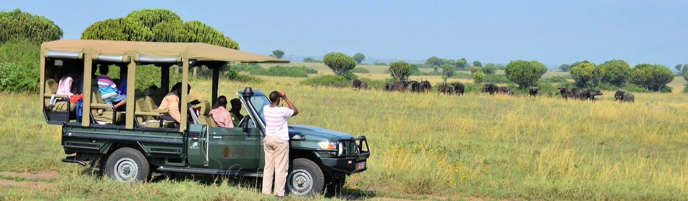 Guests on a safari vehicle on the plains