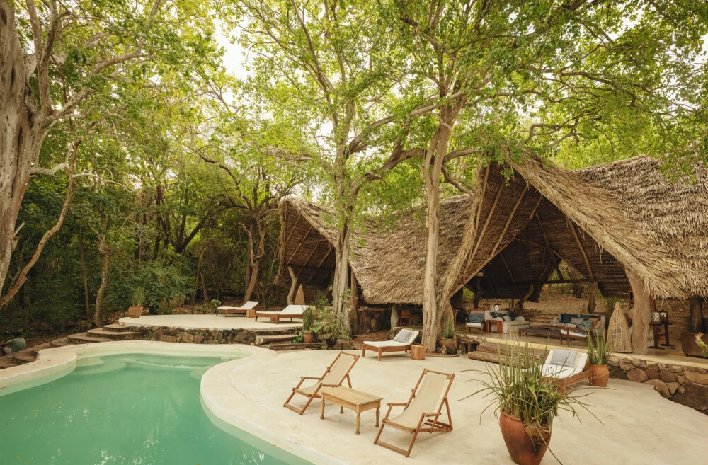 The pool and loungers beneath the trees