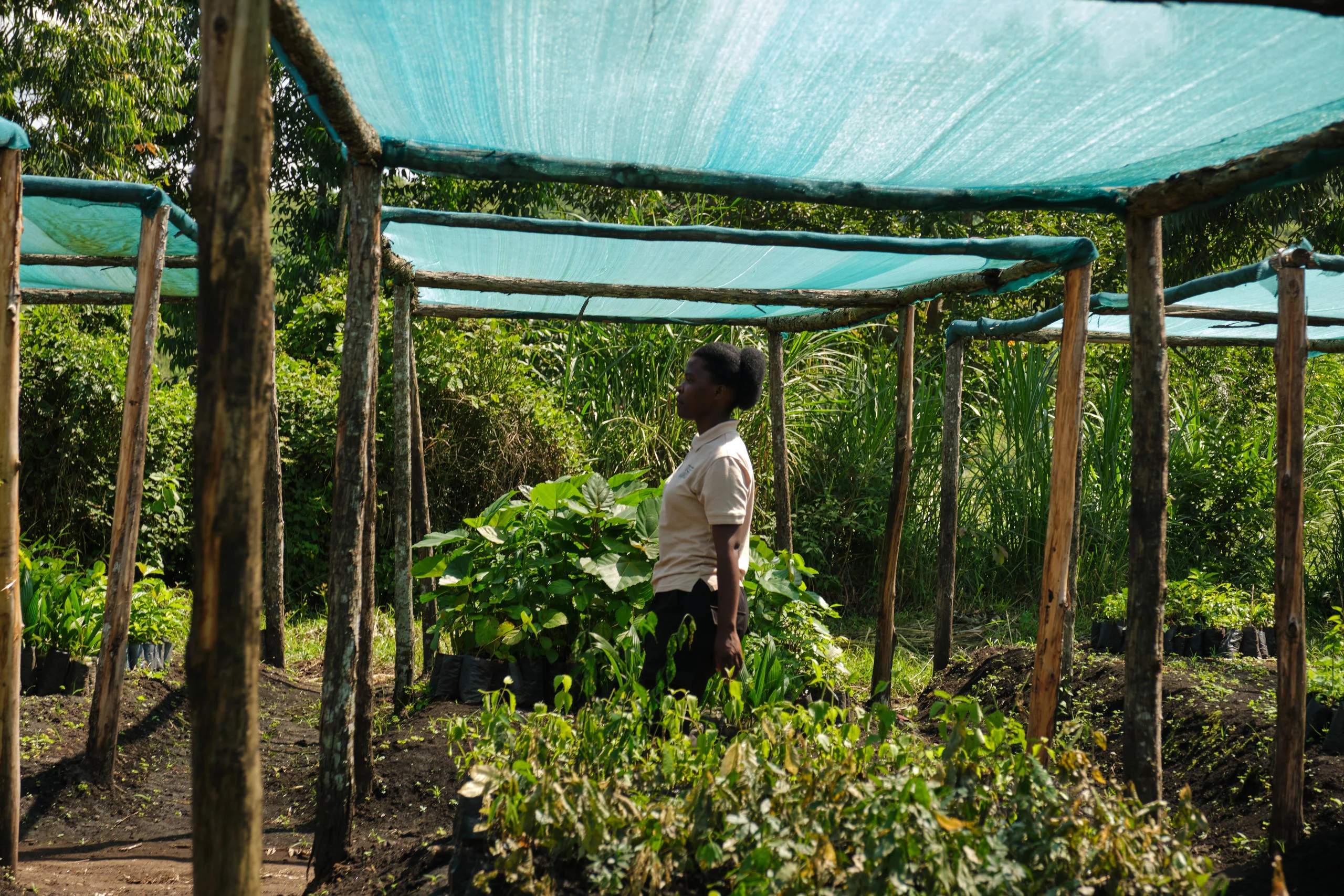 A gardener in the lodge's vegetable garden