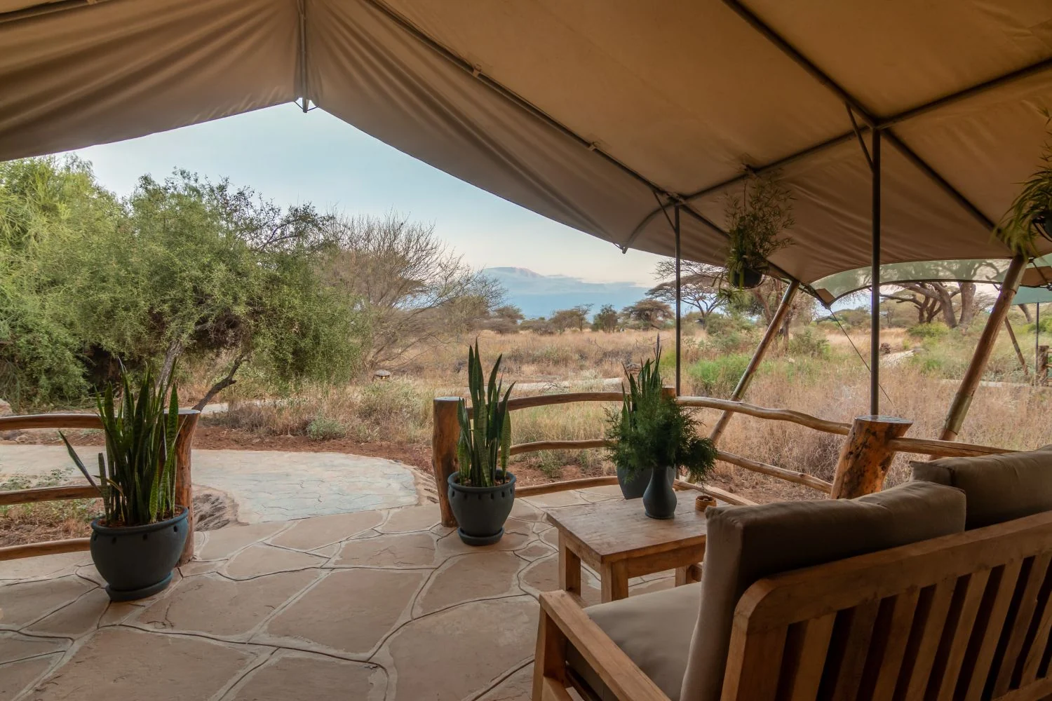 A tent veranda looking out to the bush
