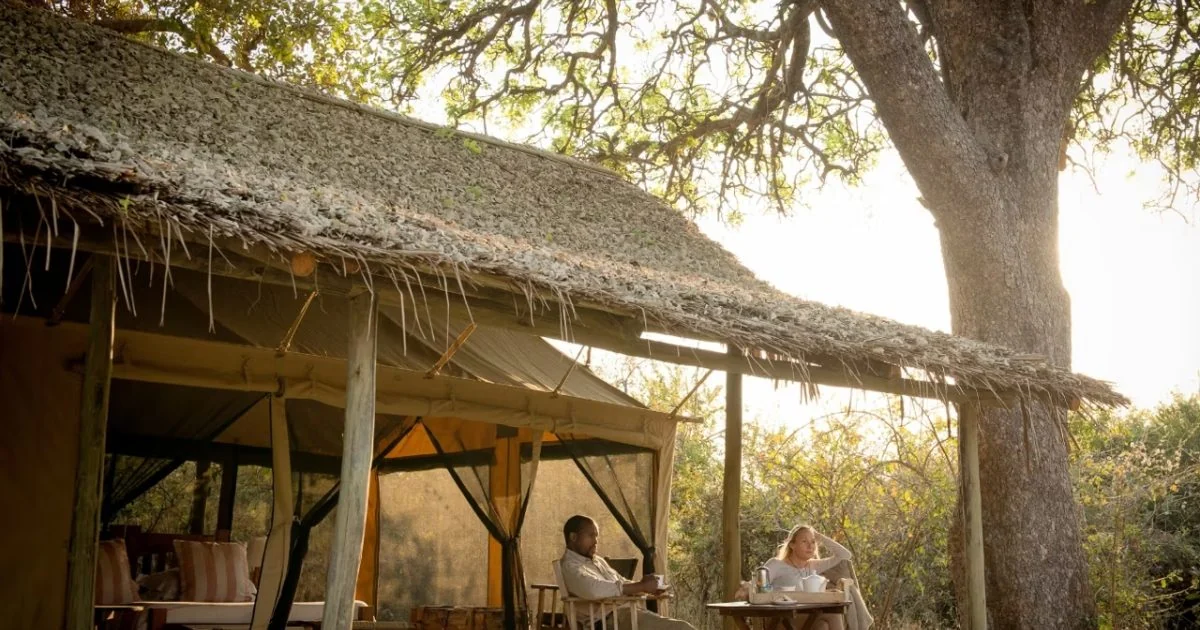 A guest tent under thatch beneath a large tree