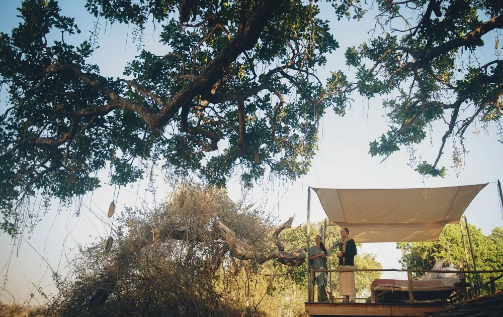 A bed made up under a canopy in the trees for a night out