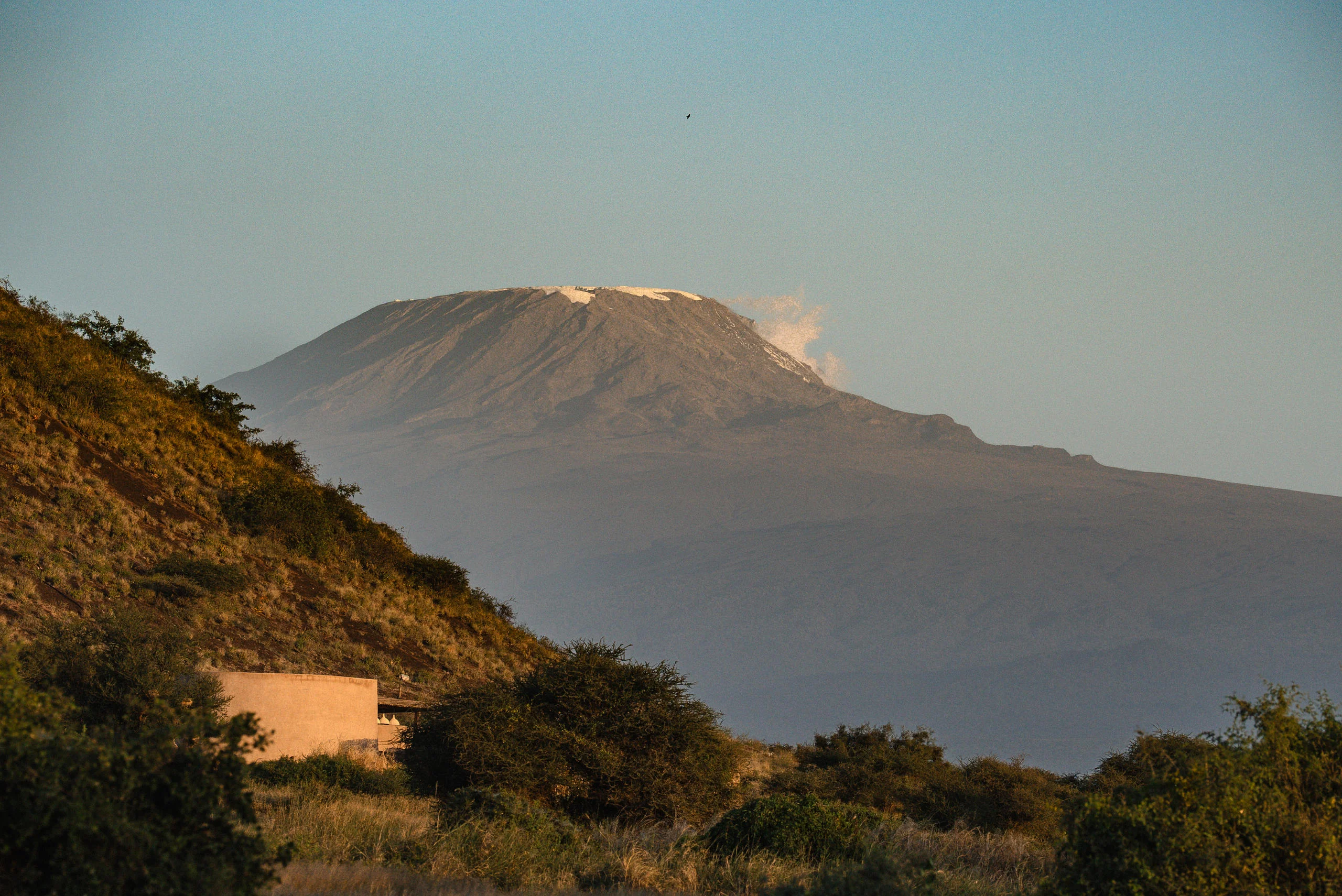 Kilimanjaro's snow seen above the hills