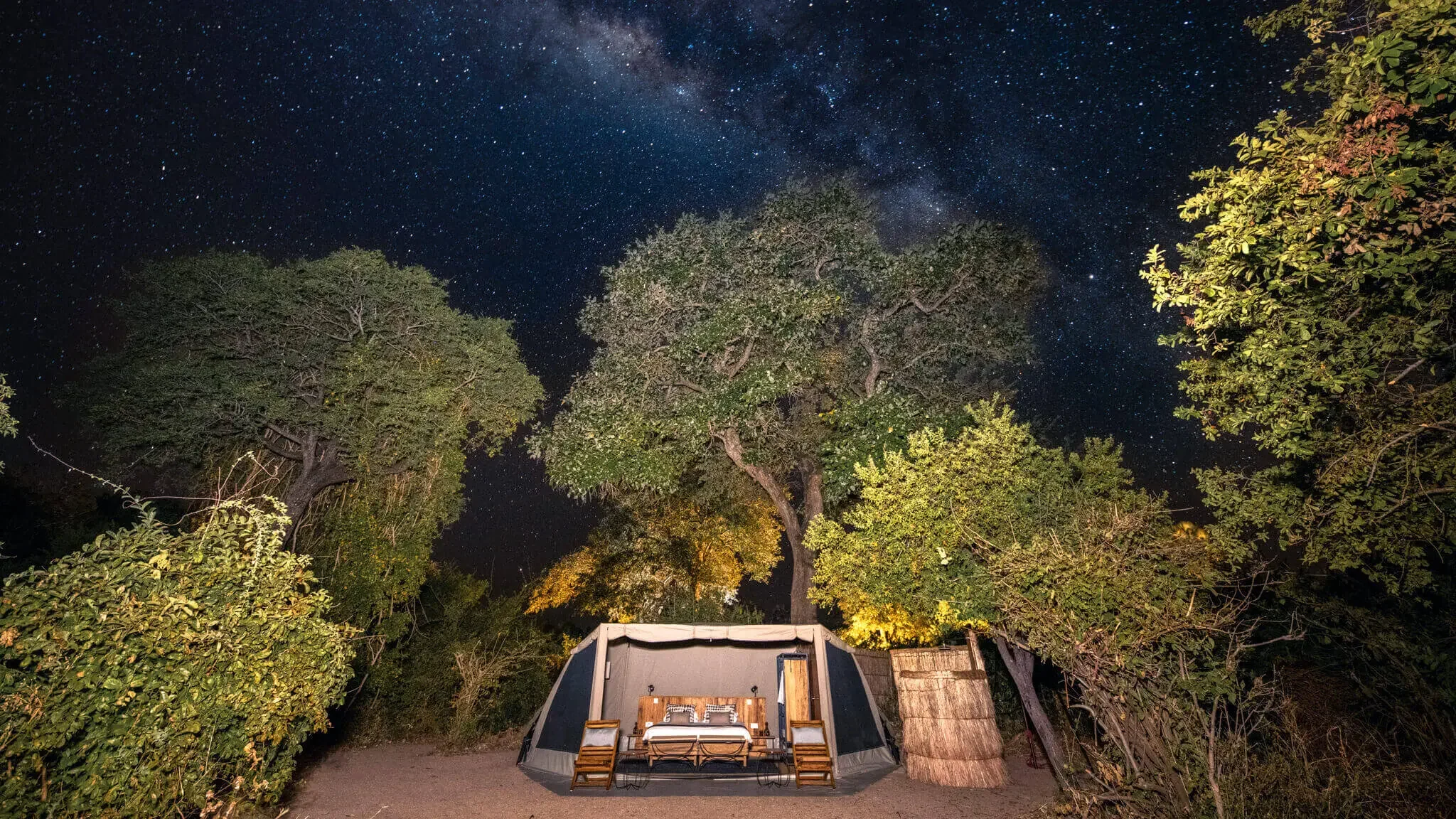 A tent under the stars among the trees