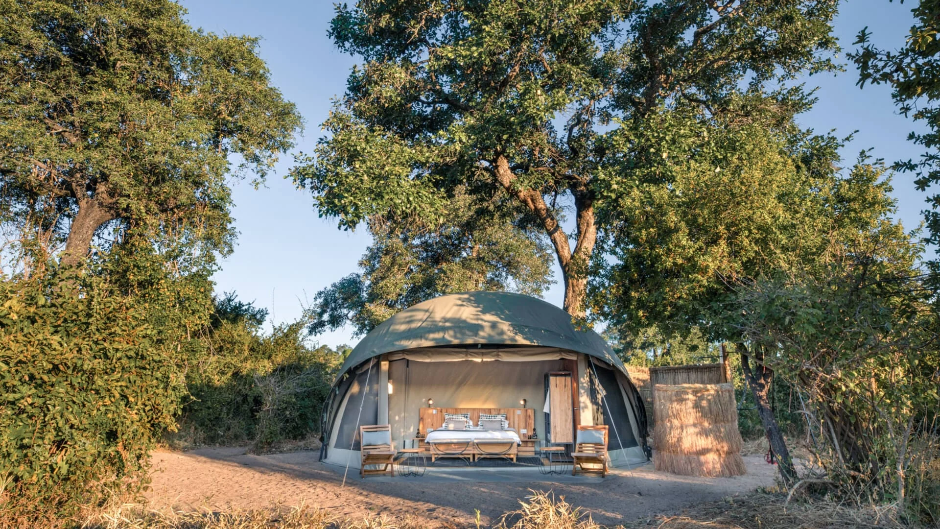 A guest tent among the trees in the morning light