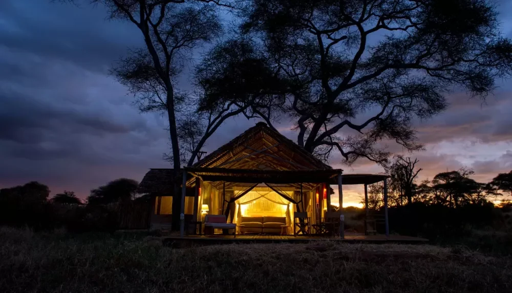 A guest tent under a tree at dusk