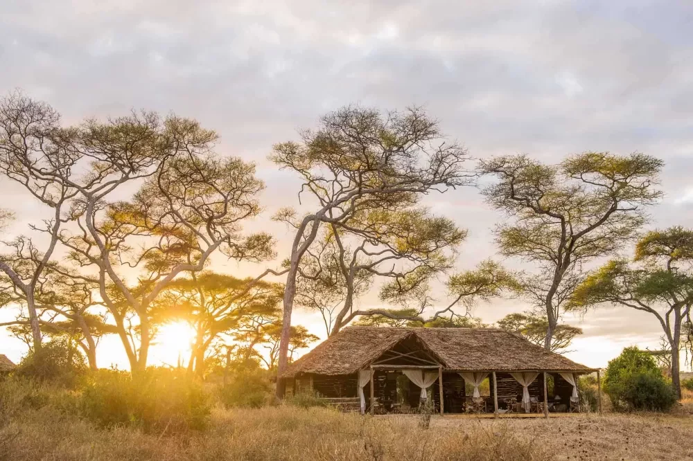 The main tent among the trees at sunrise