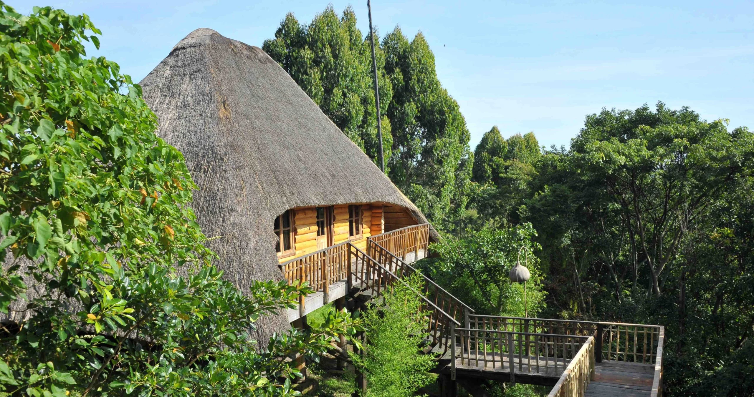 A thatched cottage among the trees