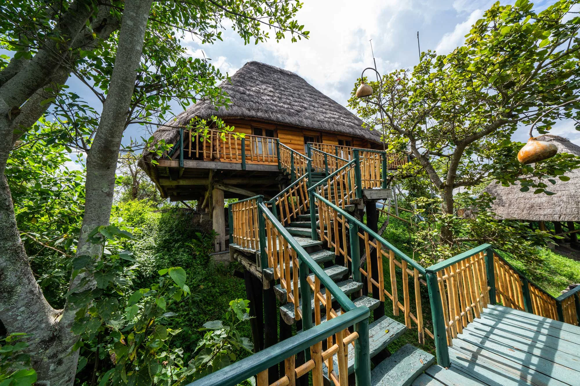 The lodge's walkways and cottages among the trees