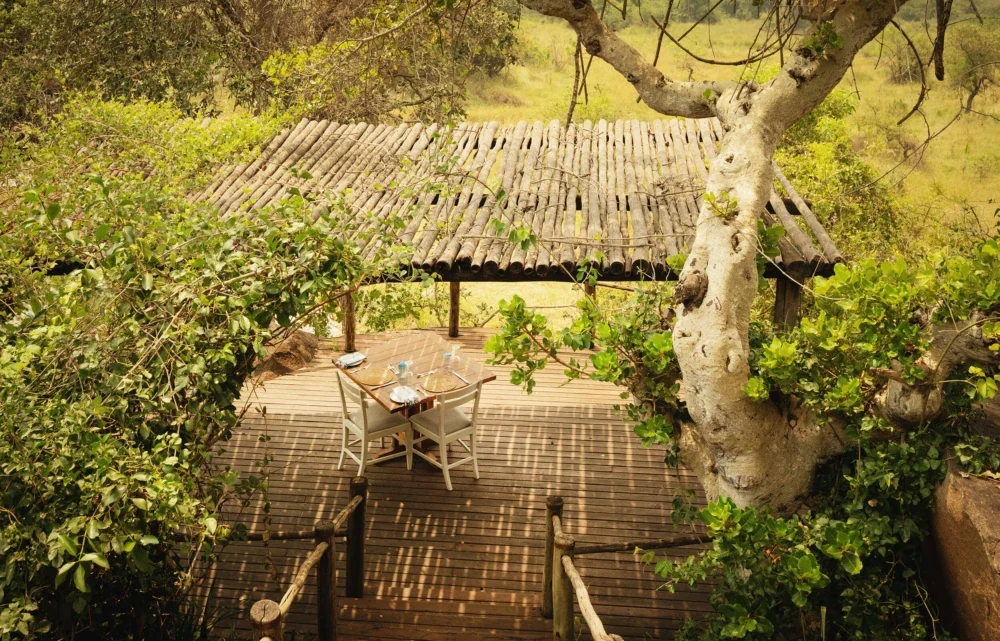 A deck among the trees on the kopje