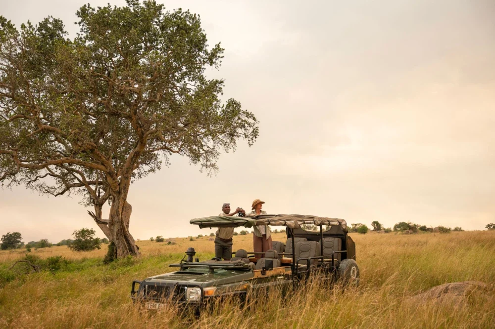 An open safari vehicle under a tree on the plains