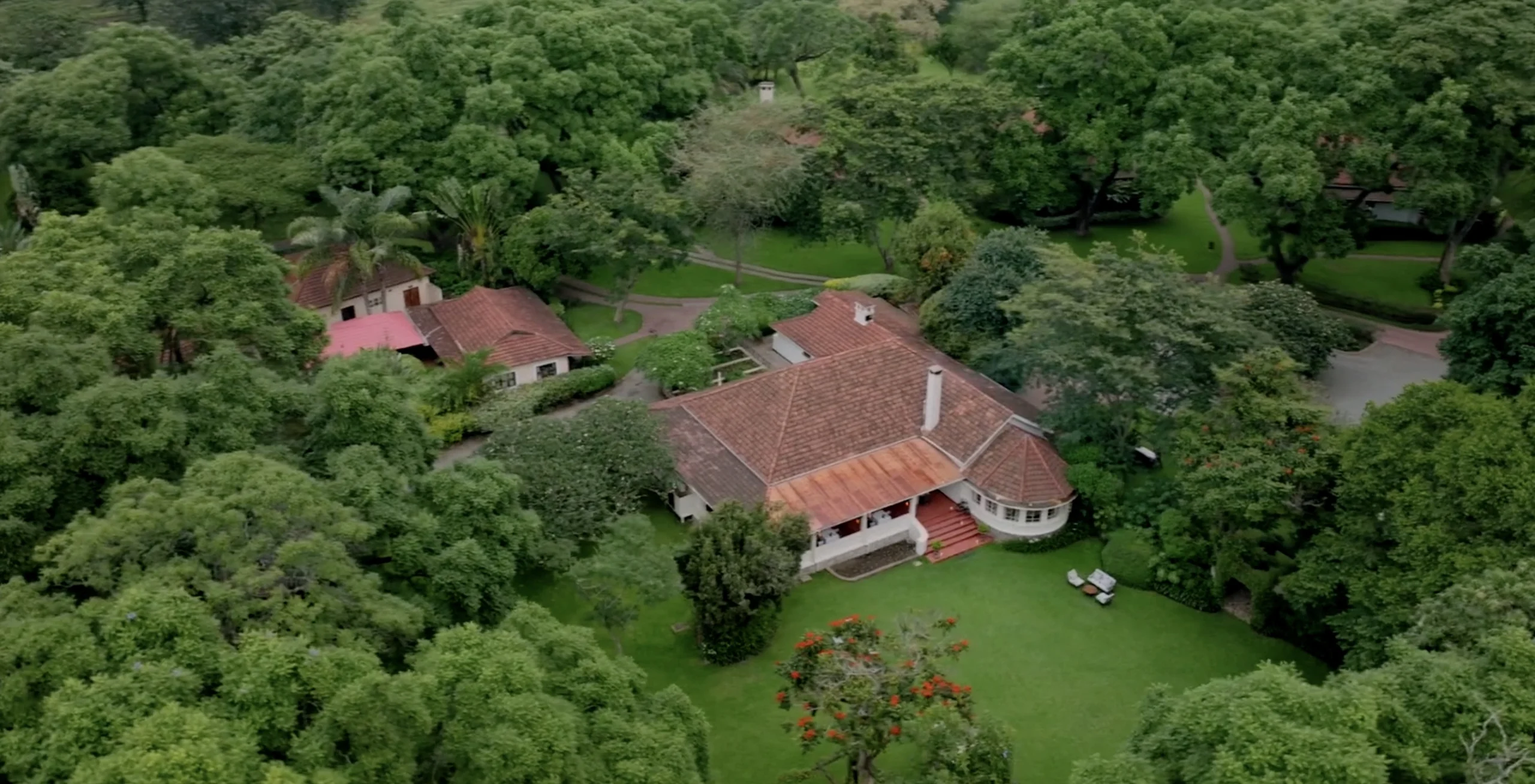 The lodge and its gardens among the trees, from the air