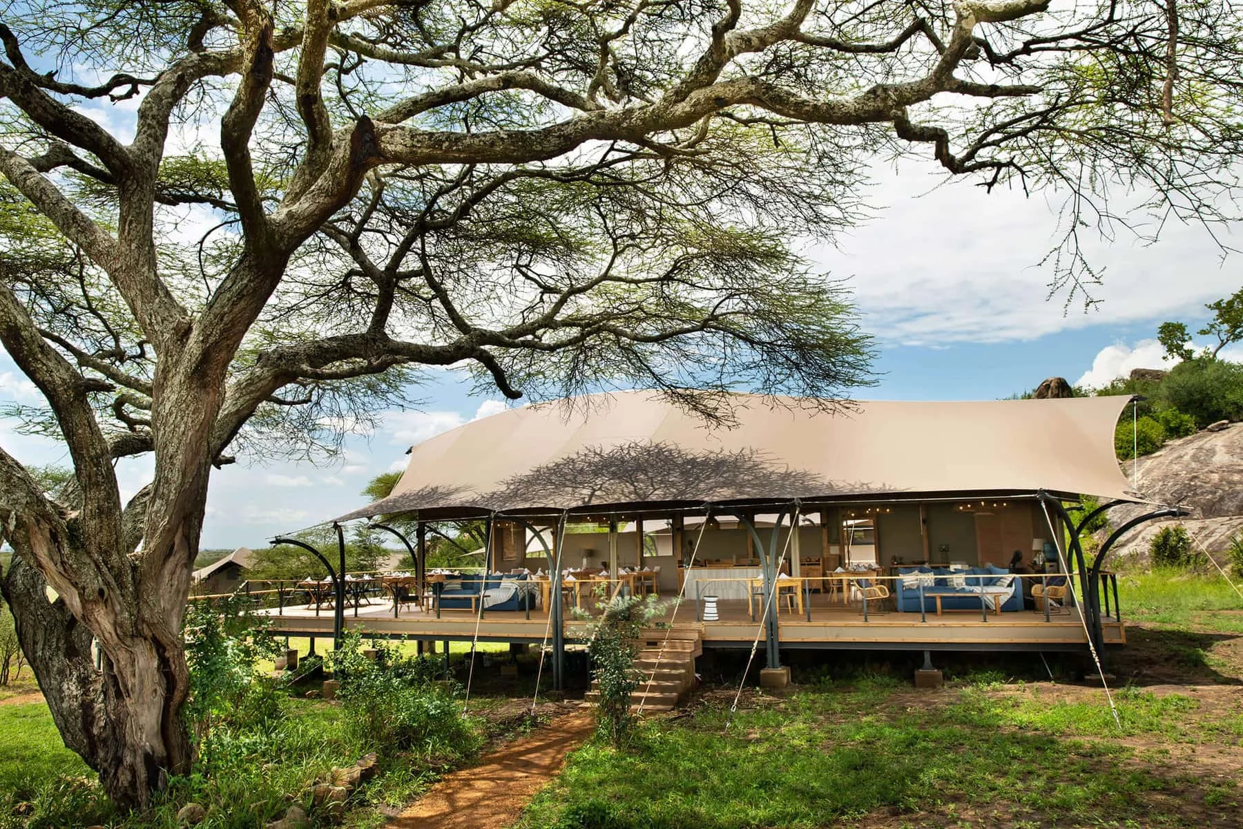 The main tent under a large acacia