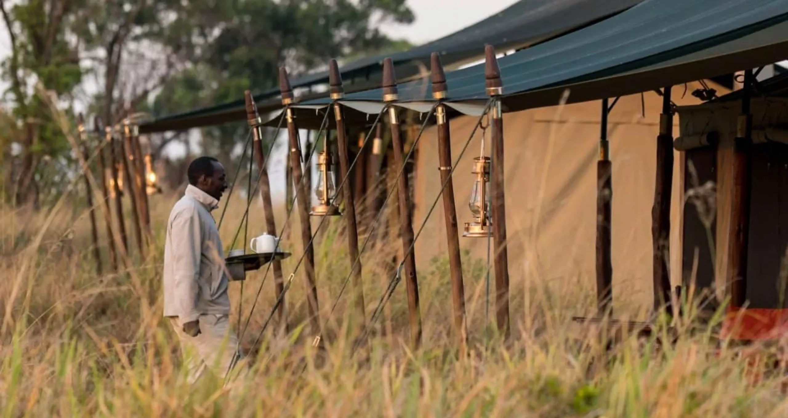 A tent in the long grass with a member of staff carrying a tray