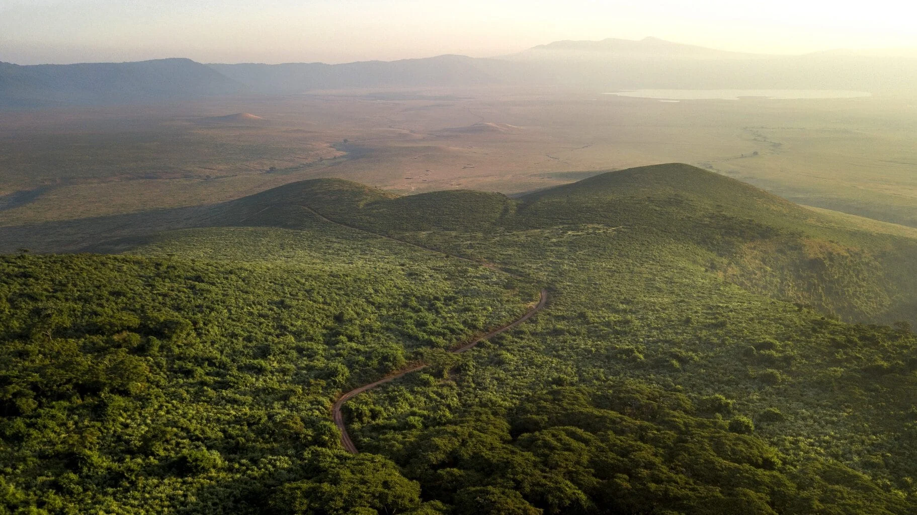 The forested crater rim seen from above