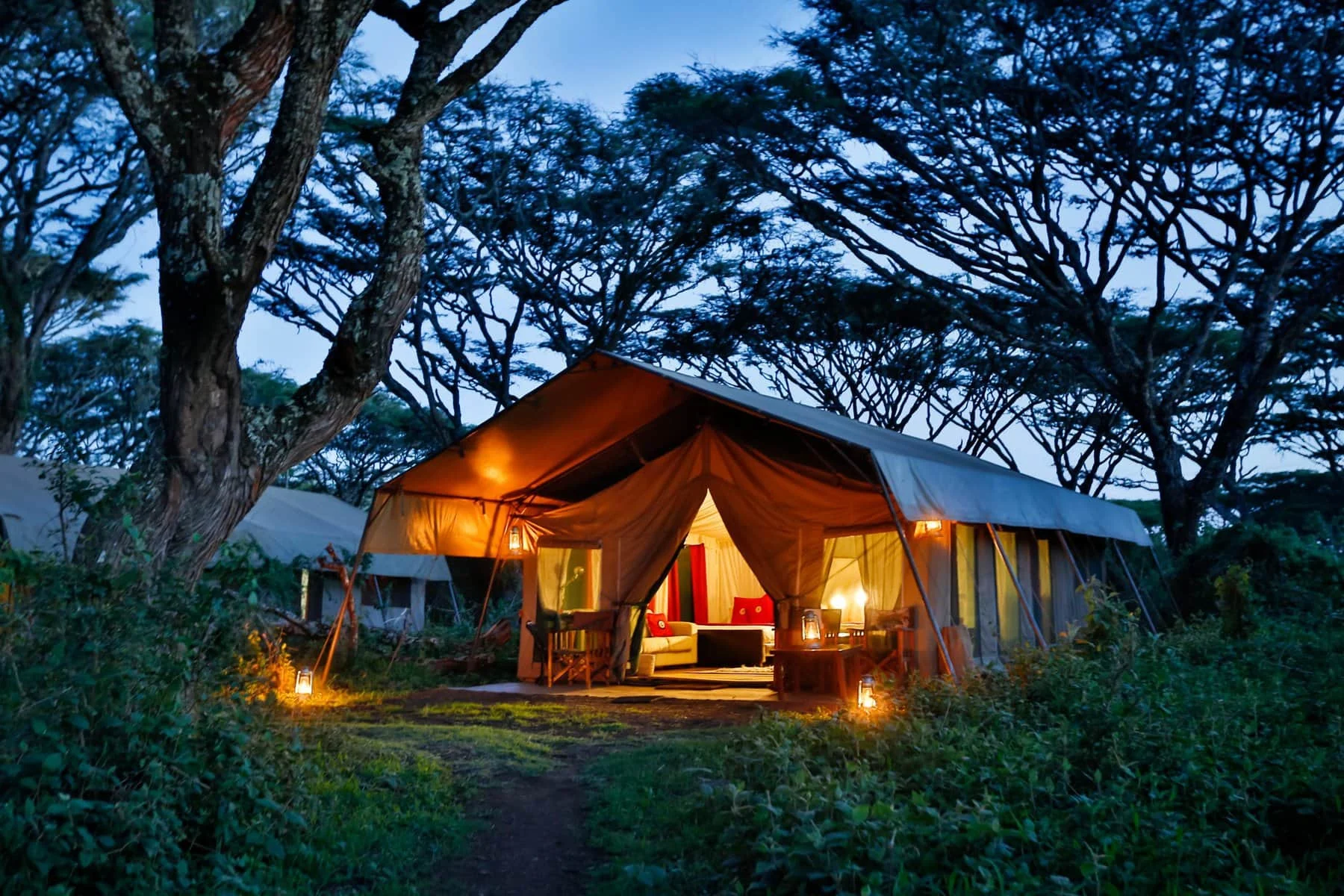 A guest tent lit at dusk under the trees