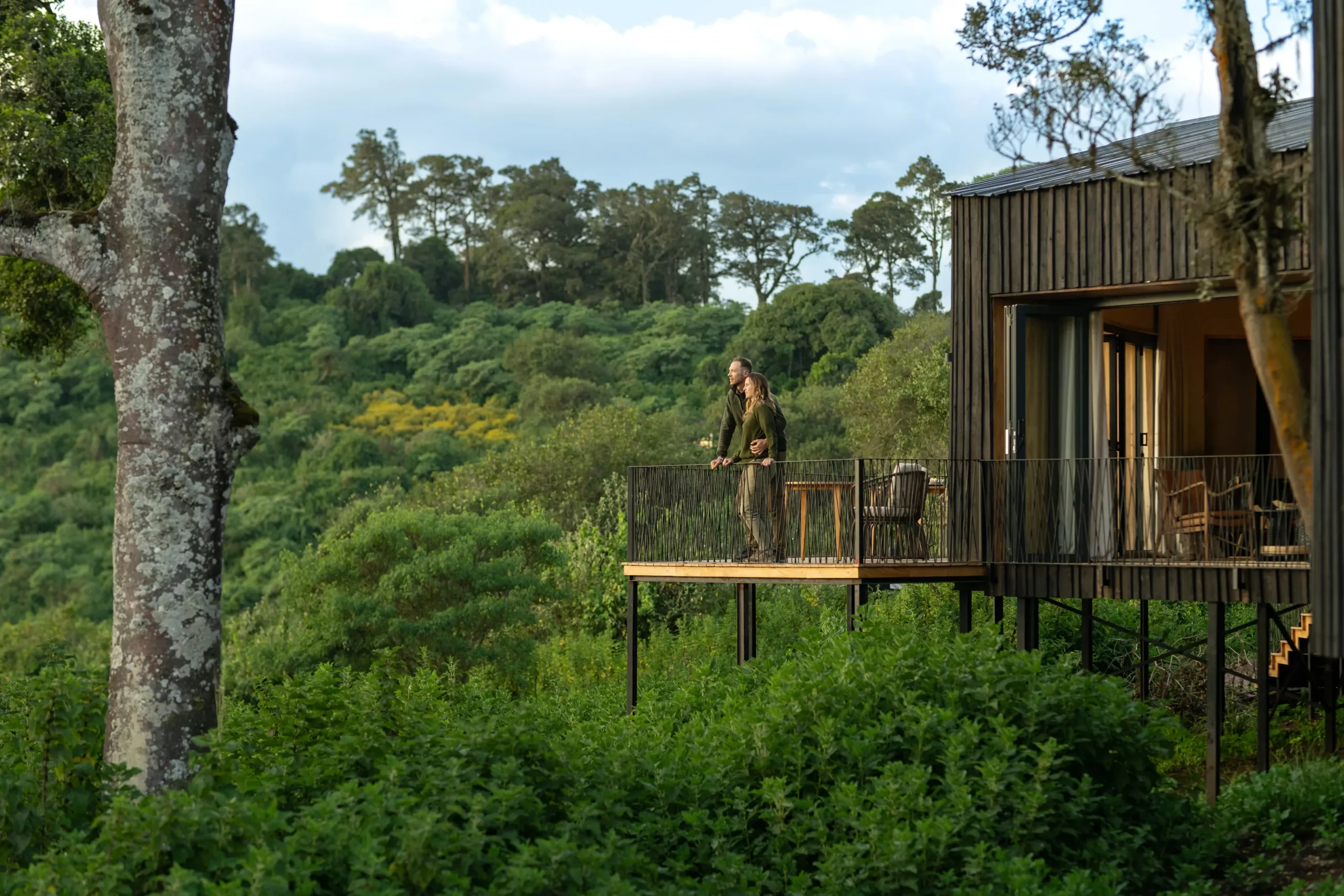 A timber-clad suite on stilts among the trees