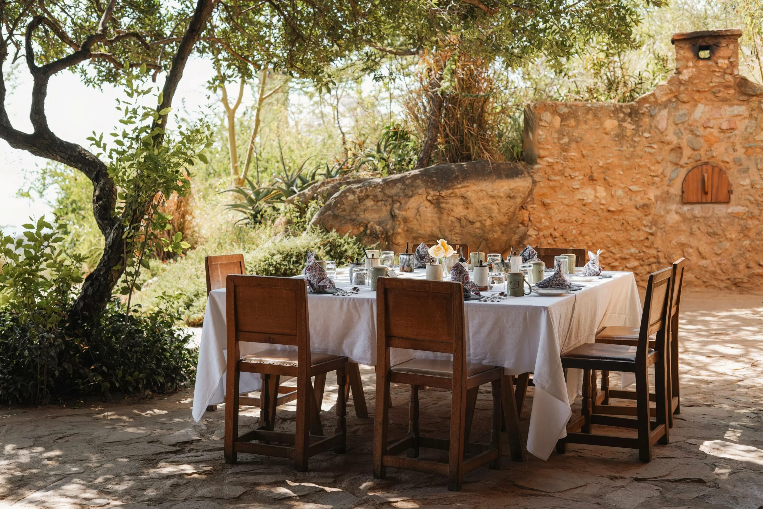 A table laid for lunch under a tree