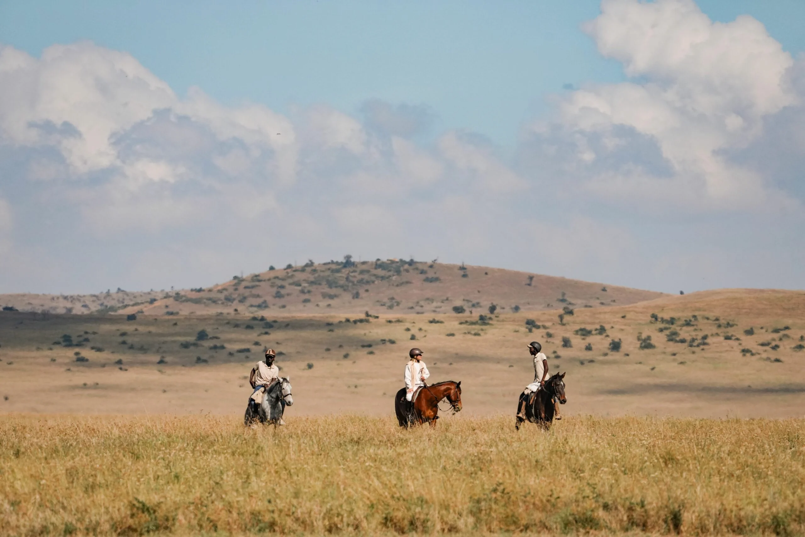 Riders on horseback on the plains