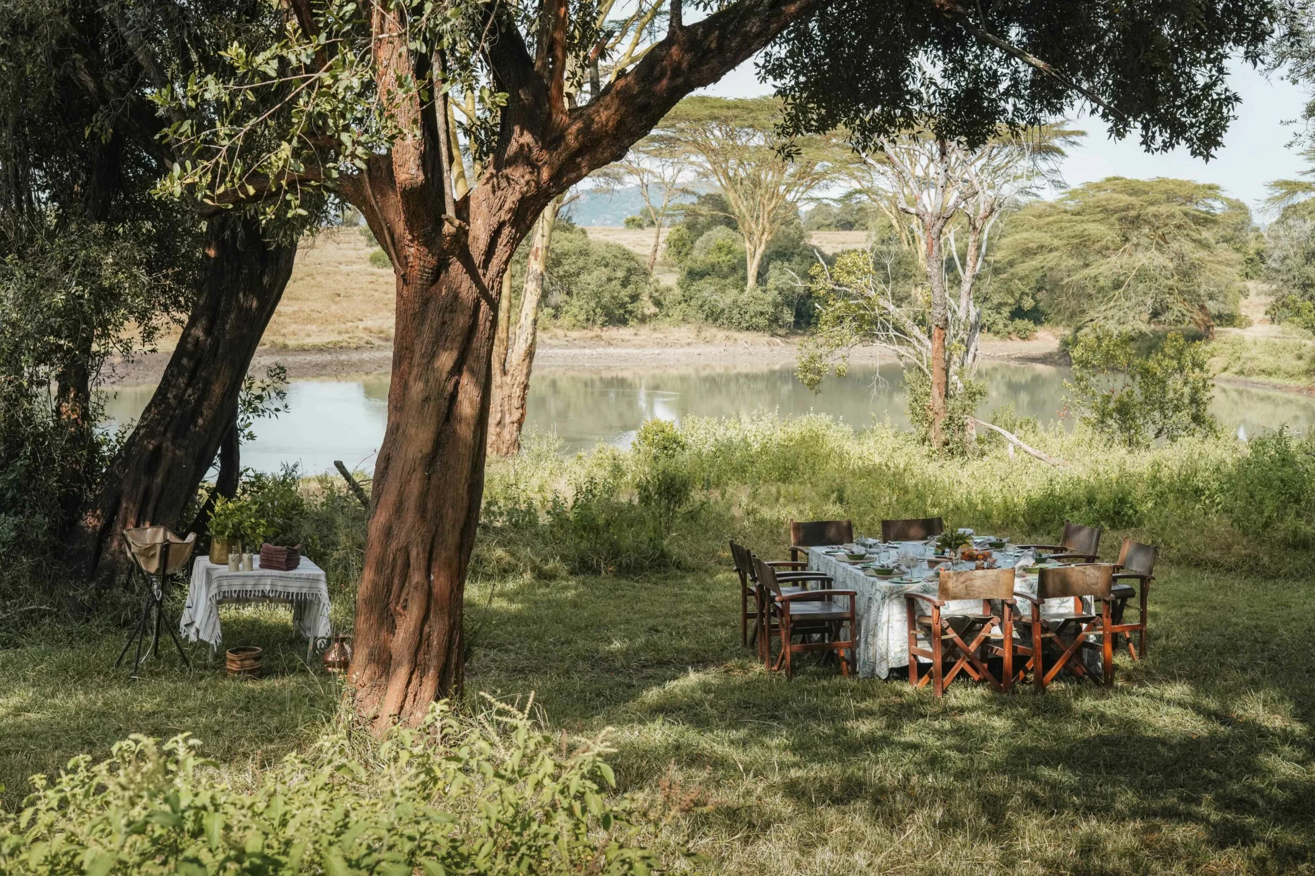 A picnic beside the water under an acacia