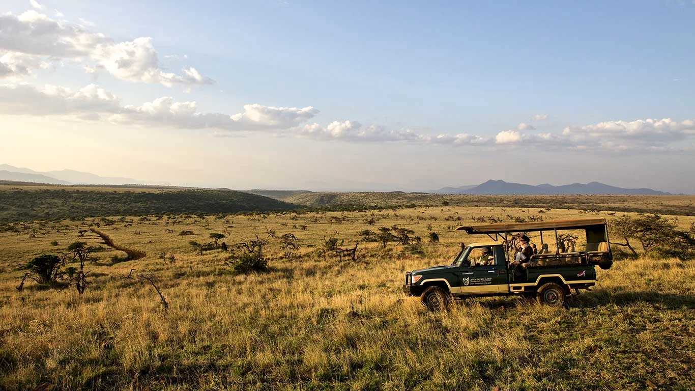 A game drive vehicle on the plains